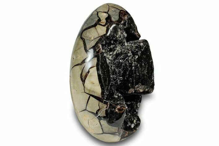 Septarian Dragon Egg Geode - Black Crystals #302861